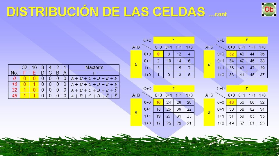 DISTRIBUCIÓN DE LAS CELDAS …cont 