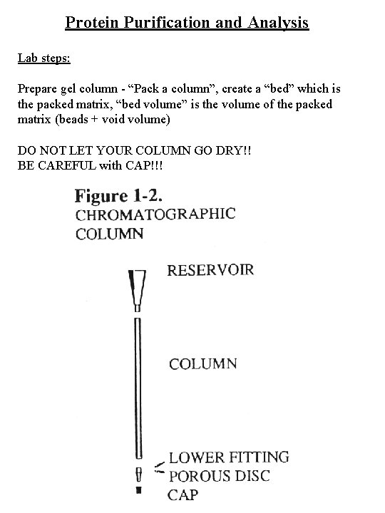 Protein Purification and Analysis Lab steps: Prepare gel column - “Pack a column”, create