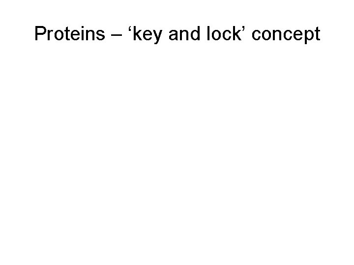 Proteins – ‘key and lock’ concept 