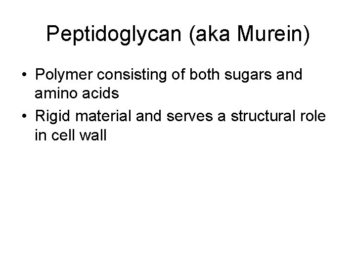 Peptidoglycan (aka Murein) • Polymer consisting of both sugars and amino acids • Rigid