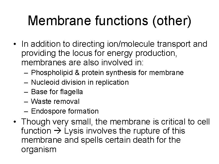 Membrane functions (other) • In addition to directing ion/molecule transport and providing the locus
