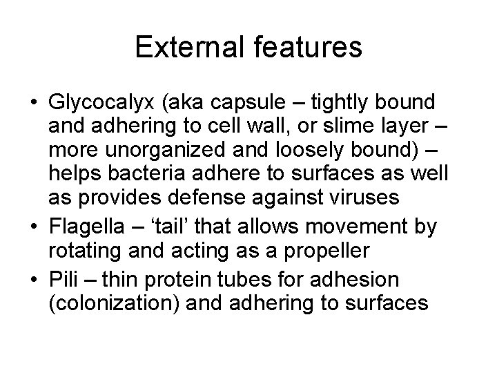 External features • Glycocalyx (aka capsule – tightly bound adhering to cell wall, or