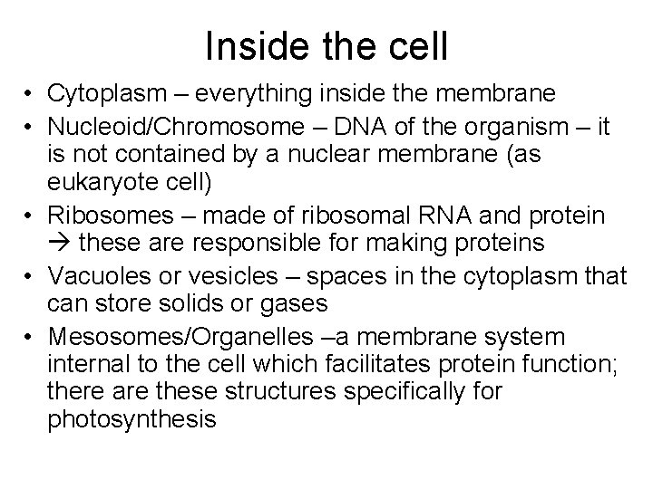 Inside the cell • Cytoplasm – everything inside the membrane • Nucleoid/Chromosome – DNA