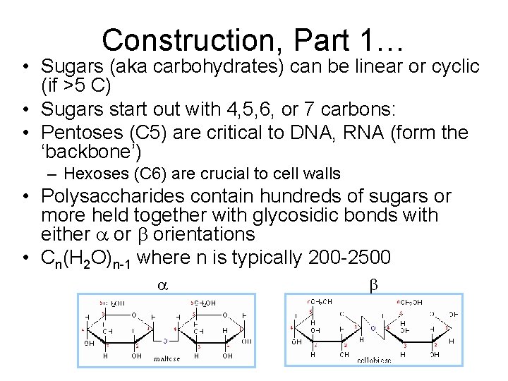 Construction, Part 1… • Sugars (aka carbohydrates) can be linear or cyclic (if >5