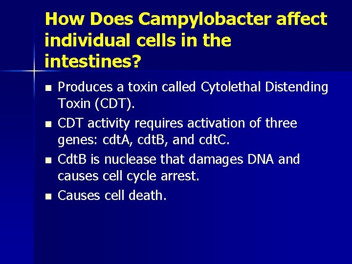 How Does Campylobacter affect individual cells in the intestines? n n Produces a toxin