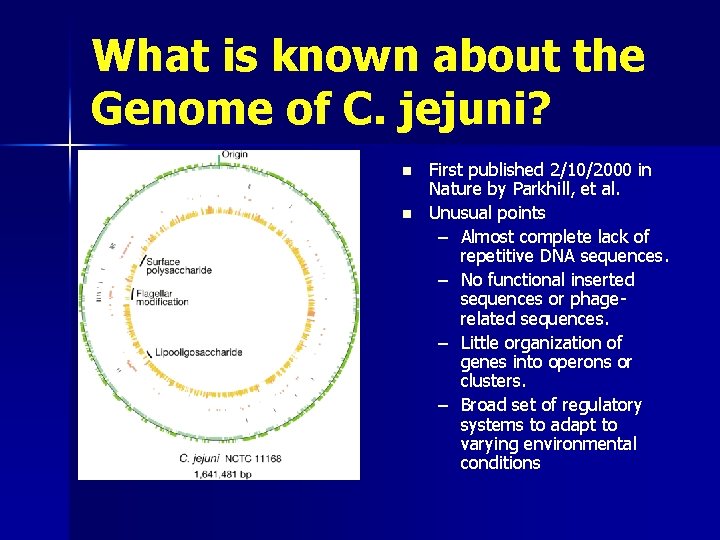 What is known about the Genome of C. jejuni? n n First published 2/10/2000