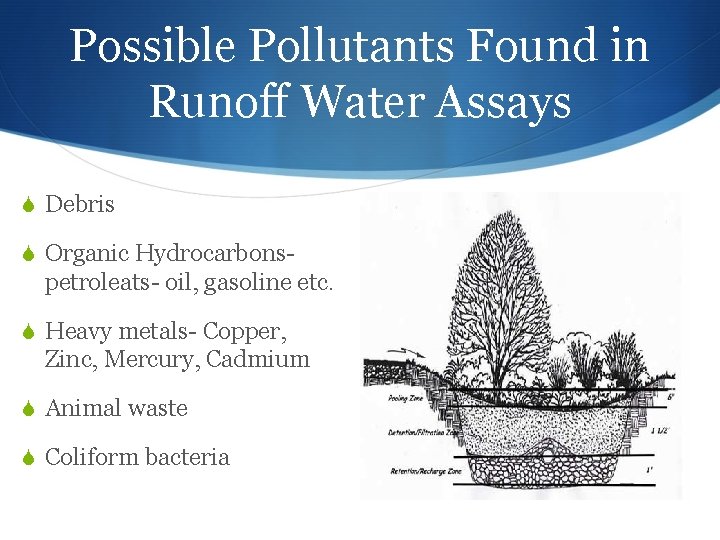 Possible Pollutants Found in Runoff Water Assays Debris Organic Hydrocarbons- petroleats- oil, gasoline etc.