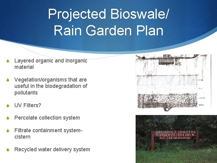 Projected Bioswale/ Rain Garden Plan Layered organic and inorganic material Vegetation/organisms that are useful