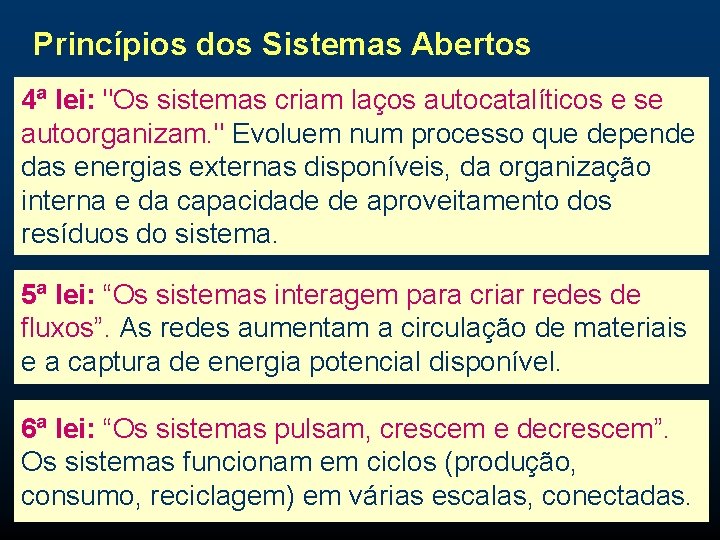 Princípios dos Sistemas Abertos 4ª lei: "Os sistemas criam laços autocatalíticos e se autoorganizam.