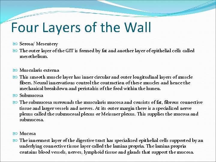 Four Layers of the Wall Serosa/ Mesentery The outer layer of the GIT is