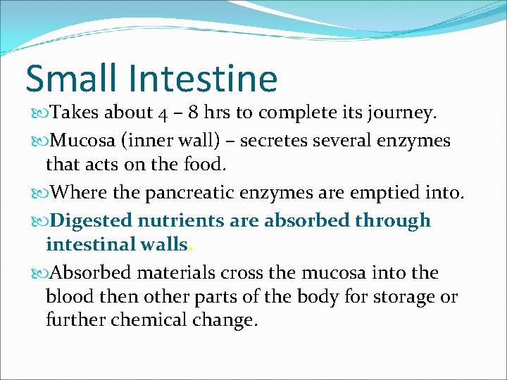 Small Intestine Takes about 4 – 8 hrs to complete its journey. Mucosa (inner