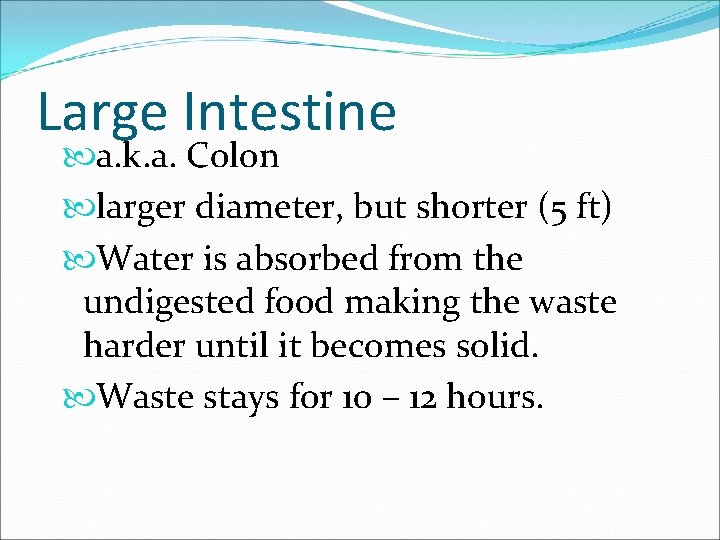 Large Intestine a. k. a. Colon larger diameter, but shorter (5 ft) Water is
