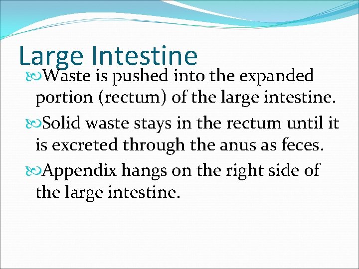 Large Intestine Waste is pushed into the expanded portion (rectum) of the large intestine.