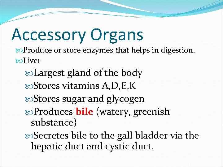 Accessory Organs Produce or store enzymes that helps in digestion. Liver Largest gland of