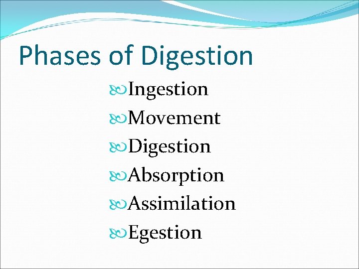 Phases of Digestion Ingestion Movement Digestion Absorption Assimilation Egestion 