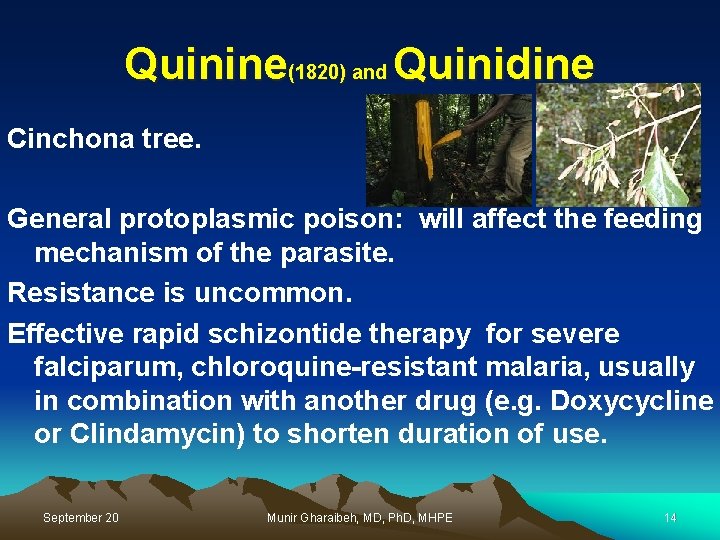 Quinine(1820) and Quinidine Cinchona tree. General protoplasmic poison: will affect the feeding mechanism of