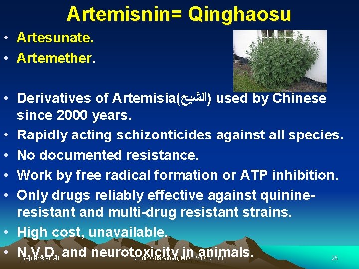 Artemisnin= Qinghaosu • Artesunate. • Artemether. • Derivatives of Artemisia( )ﺍﻟﺸﻴﺢ used by Chinese