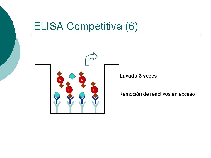 ELISA Competitiva (6) 