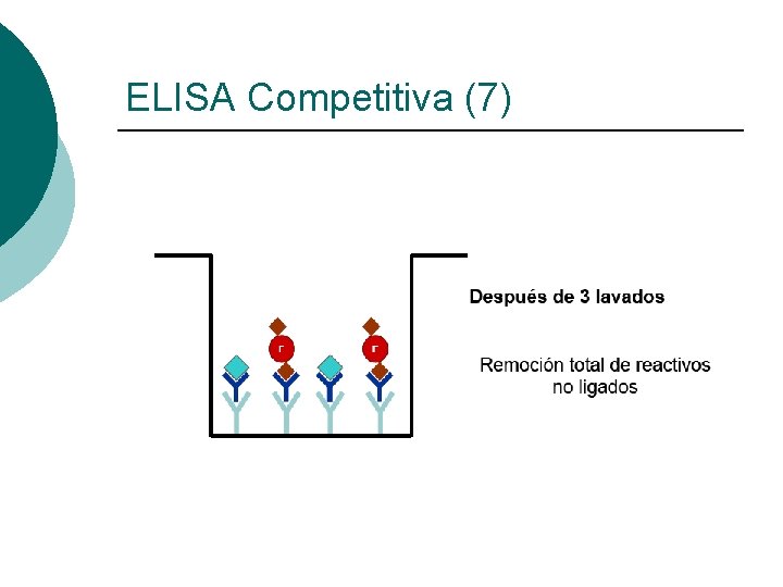 ELISA Competitiva (7) 