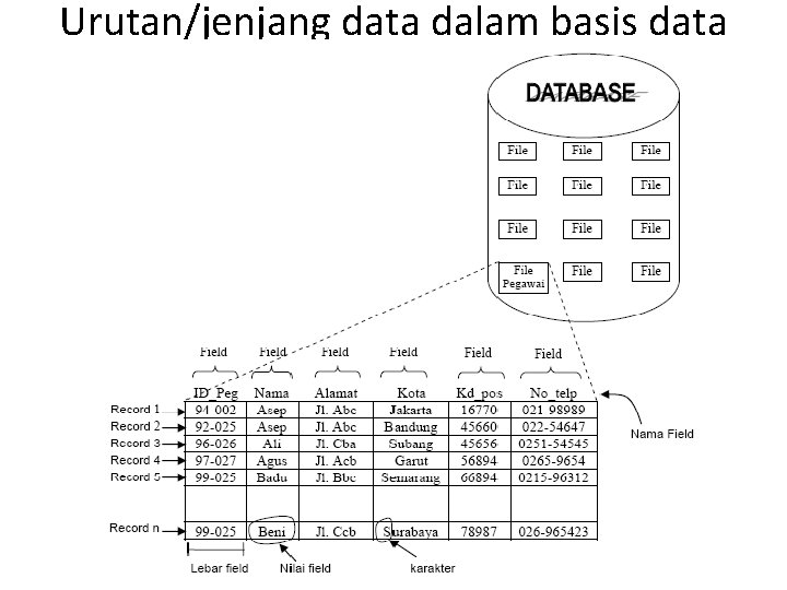 Urutan/jenjang data dalam basis data 