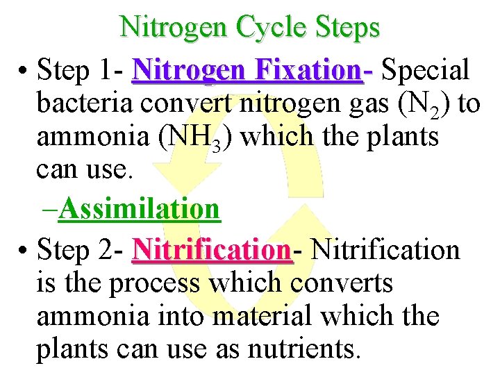 Nitrogen Cycle Steps • Step 1 - Nitrogen Fixation- Special bacteria convert nitrogen gas