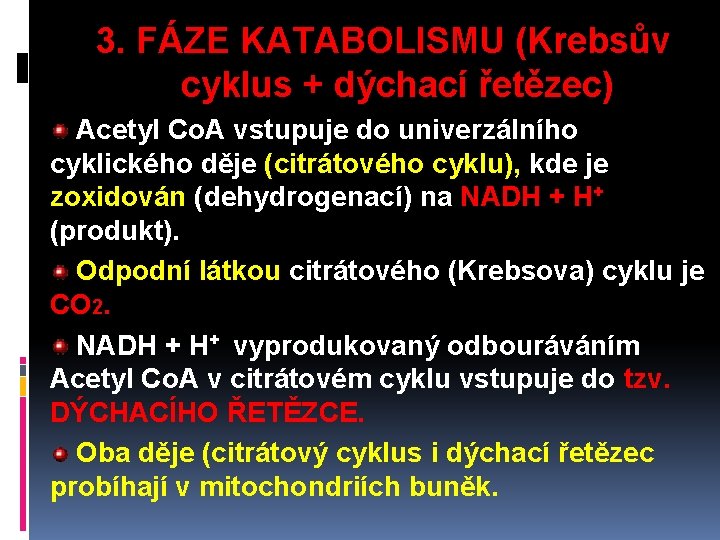 3. FÁZE KATABOLISMU (Krebsův cyklus + dýchací řetězec) Acetyl Co. A vstupuje do univerzálního