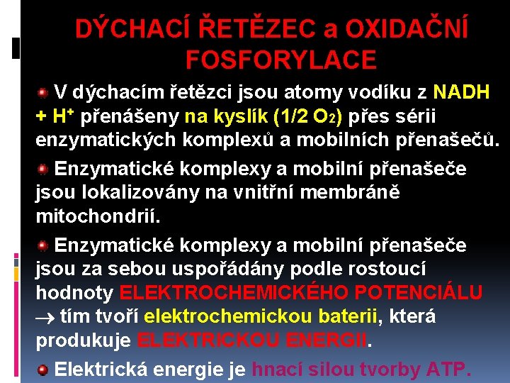 DÝCHACÍ ŘETĚZEC a OXIDAČNÍ FOSFORYLACE V dýchacím řetězci jsou atomy vodíku z NADH +