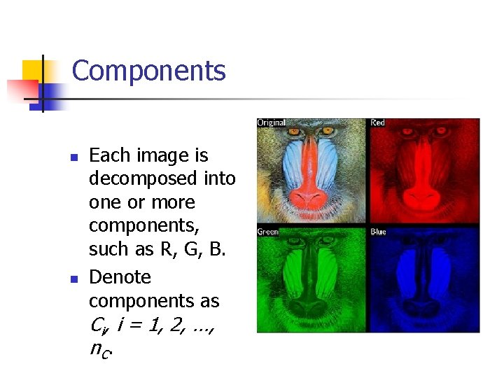 Components n n Each image is decomposed into one or more components, such as