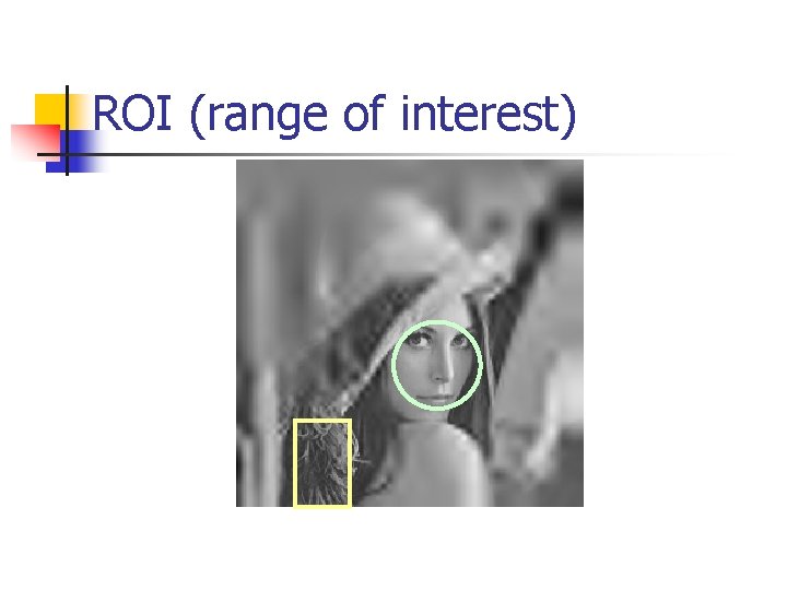 ROI (range of interest) 