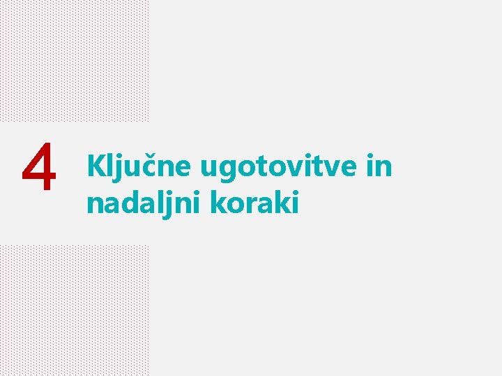 4 Ključne ugotovitve in nadaljni koraki 