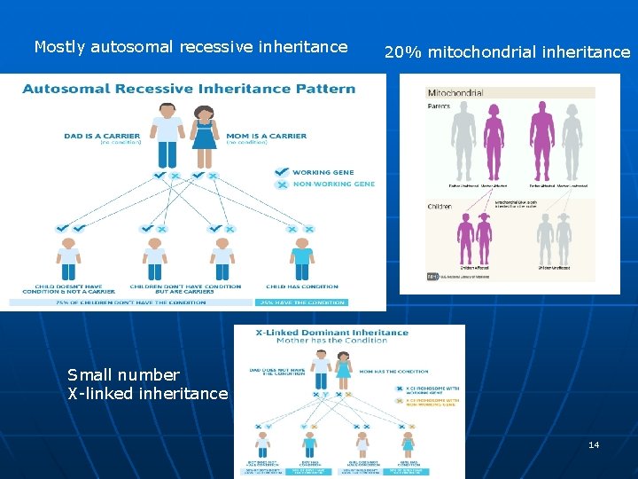 Mostly autosomal recessive inheritance 20% mitochondrial inheritance Small number X-linked inheritance 14 