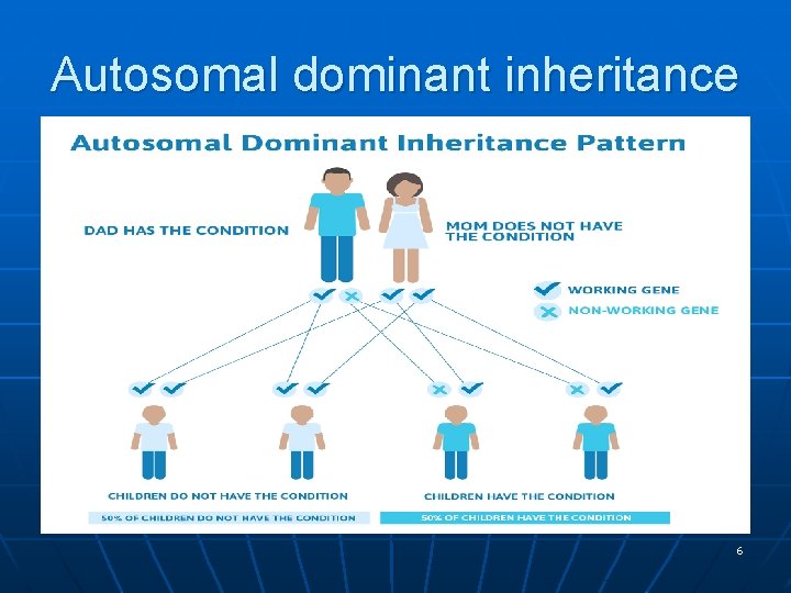 Autosomal dominant inheritance 6 