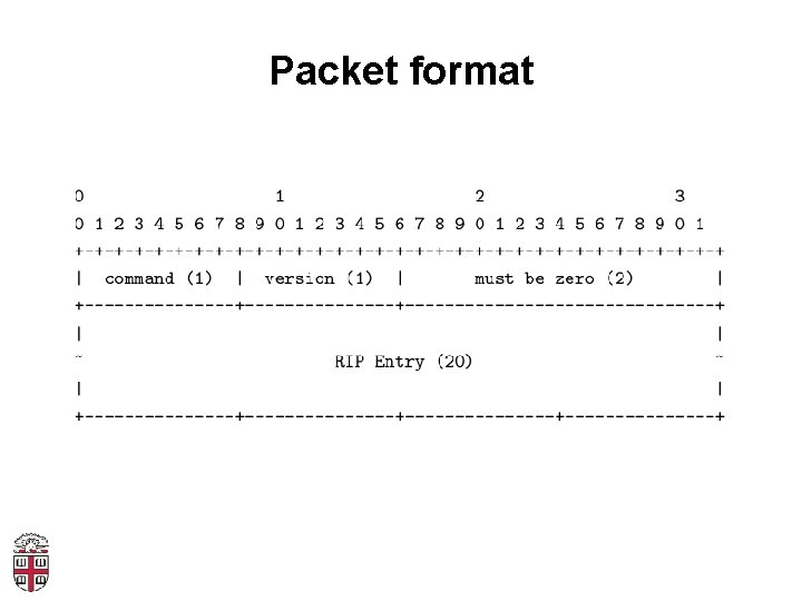 Packet format 