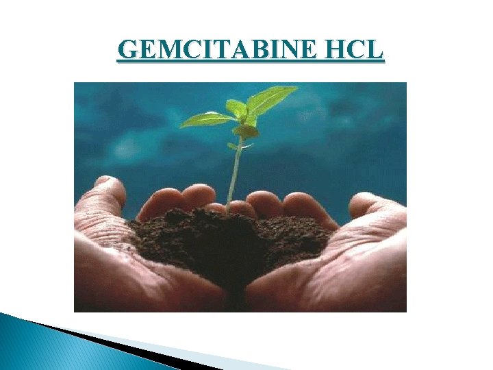 GEMCITABINE HCL 