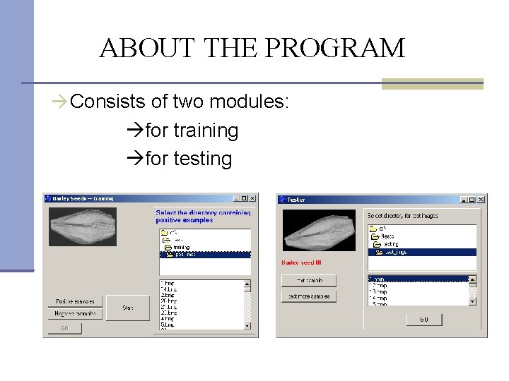 ABOUT THE PROGRAM Consists of two modules: for training for testing 