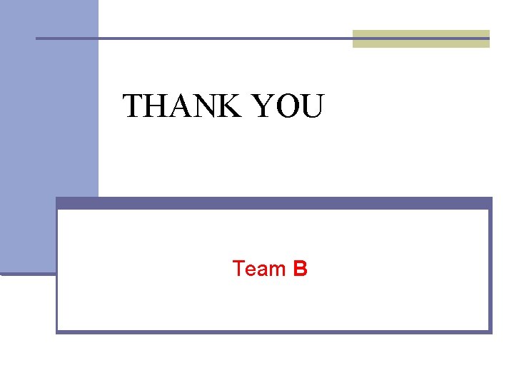 THANK YOU Team B 