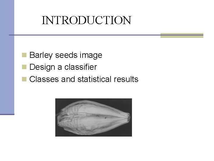 INTRODUCTION Barley seeds image Design a classifier Classes and statistical results 