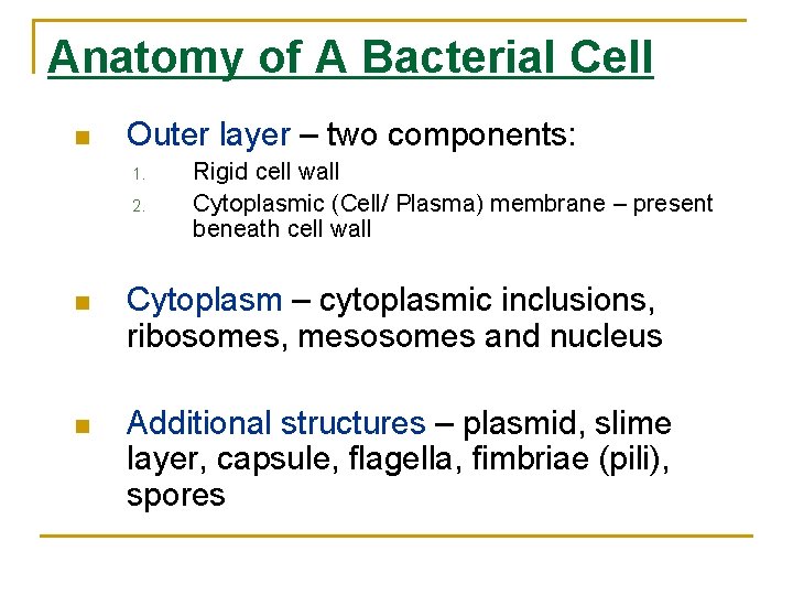 Anatomy of A Bacterial Cell Outer layer – two components: 1. 2. Rigid cell