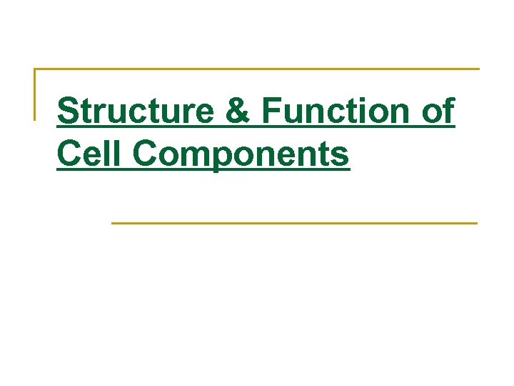 Structure & Function of Cell Components 