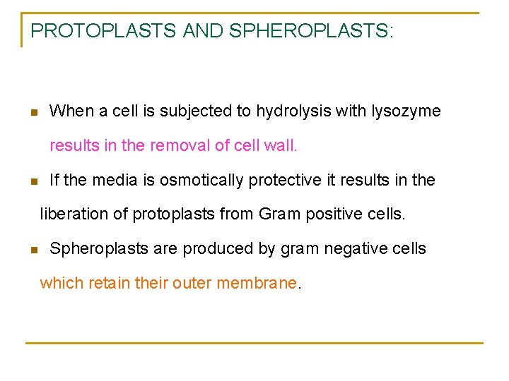 PROTOPLASTS AND SPHEROPLASTS: When a cell is subjected to hydrolysis with lysozyme results in
