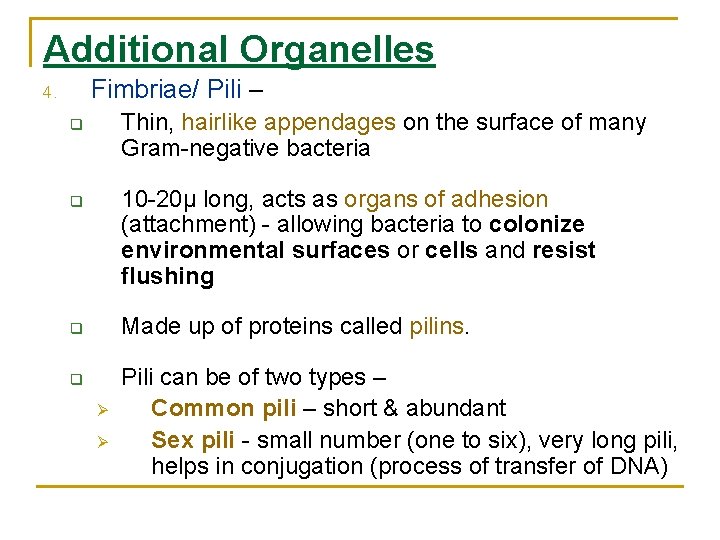 Additional Organelles Fimbriae/ Pili – 4. Thin, hairlike appendages on the surface of many