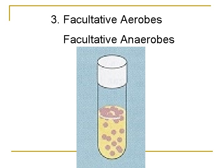 3. Facultative Aerobes Facultative Anaerobes 