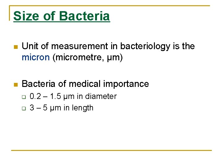 Size of Bacteria Unit of measurement in bacteriology is the micron (micrometre, µm) Bacteria