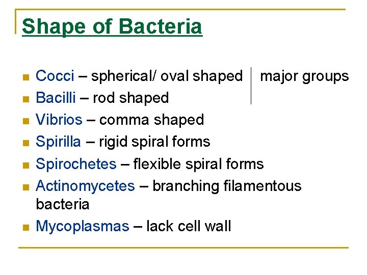 Shape of Bacteria Cocci – spherical/ oval shaped major groups Bacilli – rod shaped