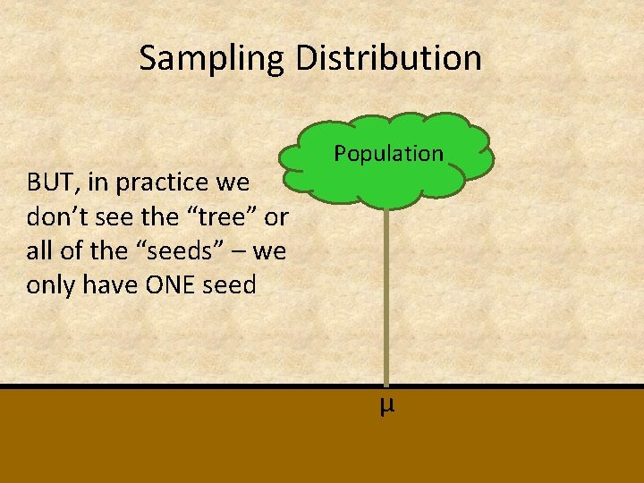 Sampling Distribution BUT, in practice we don’t see the “tree” or all of the