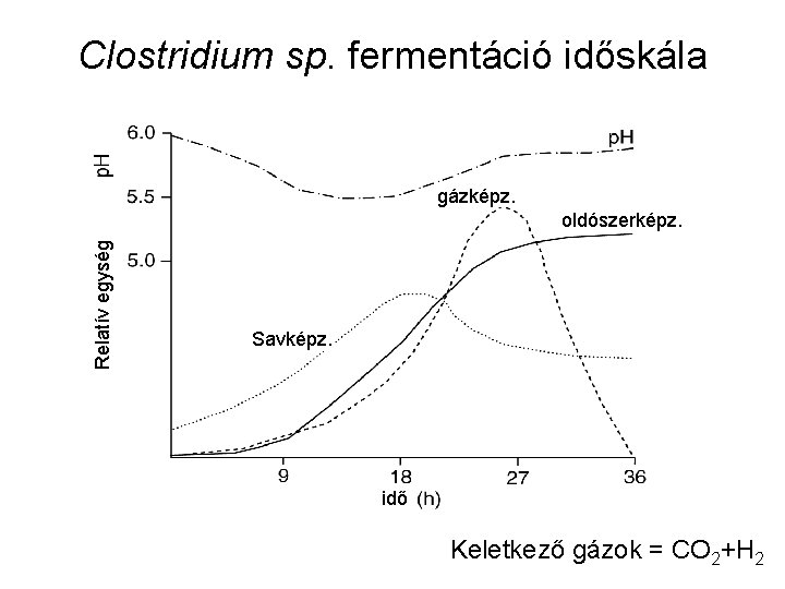 Clostridium sp. fermentáció időskála gázképz. Relatív egység oldószerképz. Savképz. idő Keletkező gázok = CO
