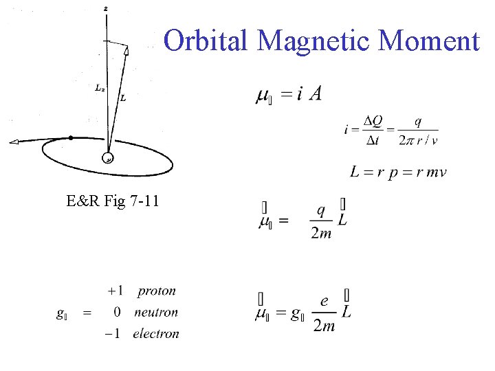 Orbital Magnetic Moment E&R Fig 7 -11 