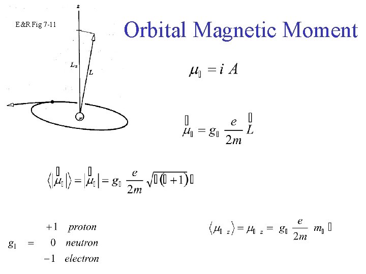 E&R Fig 7 -11 Orbital Magnetic Moment 