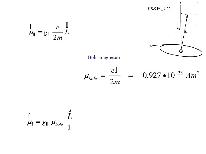 E&R Fig 7 -11 Bohr magneton 