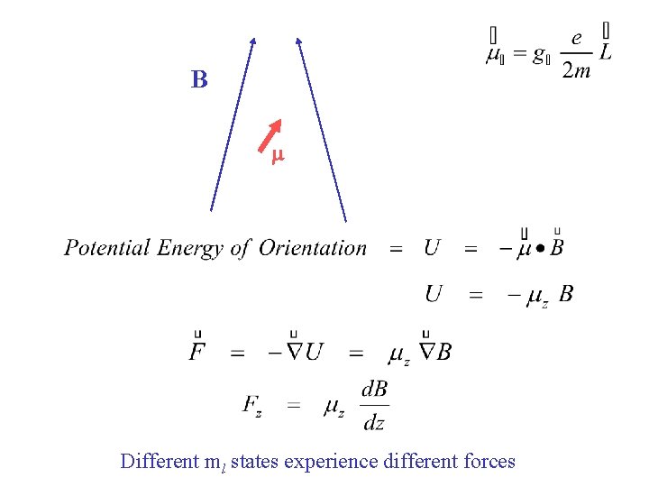 B m Different ml states experience different forces 